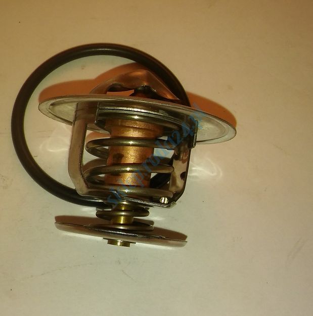 Termostat 55073.83  PN, PN Caro Stahlter