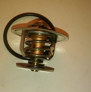 Termostat 55073.83  PN, PN Caro Stahlter