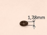 Oring    3,68 mm x 1,78 mm - 4