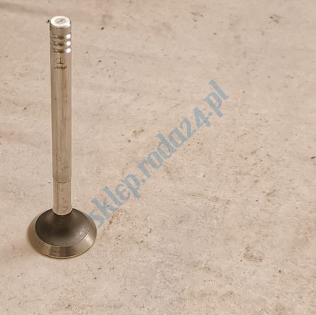 Zawór wydechowy CC, SC 900, Fiat Paradowscy