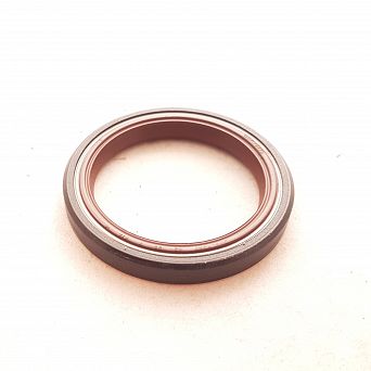 Simmering   38 x 50 x 7 AO VMQ Reinz