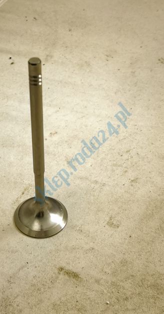 Zawór ssący VW, Skoda, Seat, Audi Paradowscy