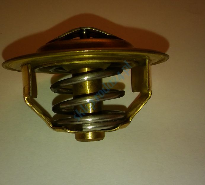 Termostat 5504.82J  PN, Ursus Termot