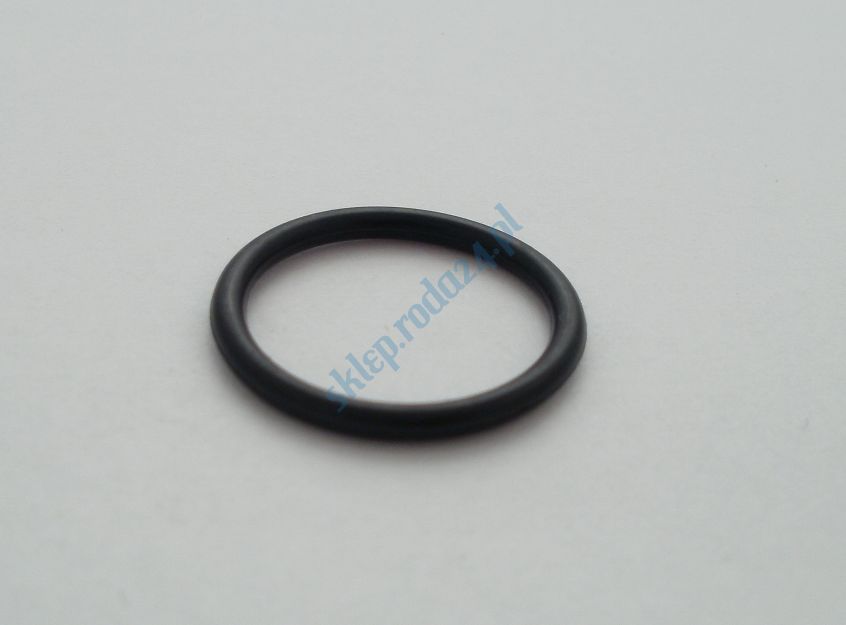 Oring  21,30 mm x 2,40 mm