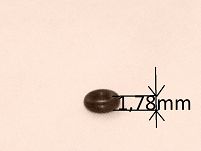 Oring    2,90 mm x 1,78 mm 126p, FSO, PN - 4