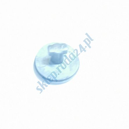 Sworzeń zawiasu szyby tył z podkł. CC Fiat