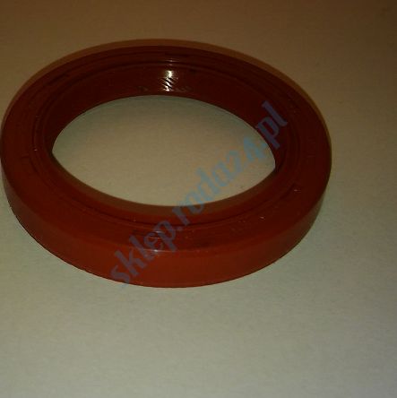 Simmering   35 x 48 x 7 AO FPM