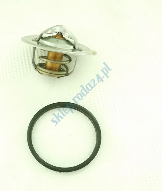 Termostat 5504.82  FSO 1300, 1500 Stahlter