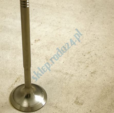 Zawór wydechowy VW, Skoda, Seat, Audi Paradowscy