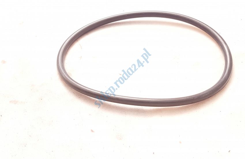 Oring 170,00 mm x 8,00 mm