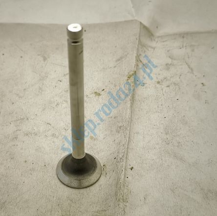 Zawór wydechowy CC, SC 900, Fiat Paradowscy