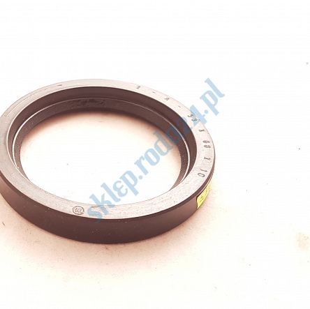 Simmering   53 x 68 x 10 A