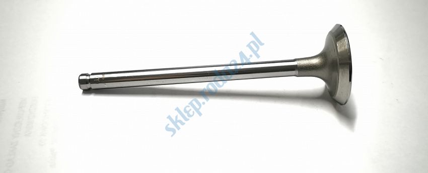 Zawór ssący PN 1.4 16V Rover Paradowscy