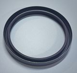 Simmering   60,45 x 76,18 x 10 AO FPM Elring - 3