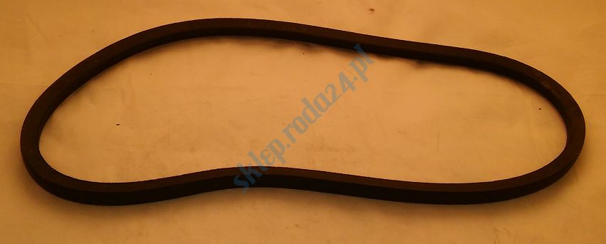 Pasek klinowy 10x  800 Sanok 126p, CC 900