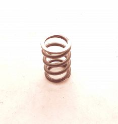 Sprężyna zaworowa wewn. PN Caro Plus FSO