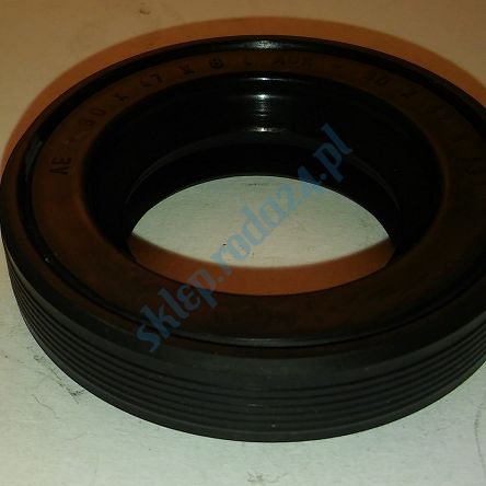 Simmering   17 x 30 x 6 AO